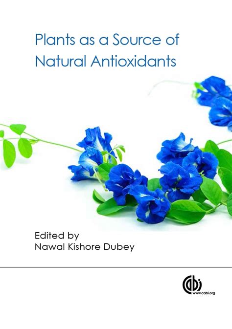 Plants As A Source Of Natural Antioxidants Megatexts Phils