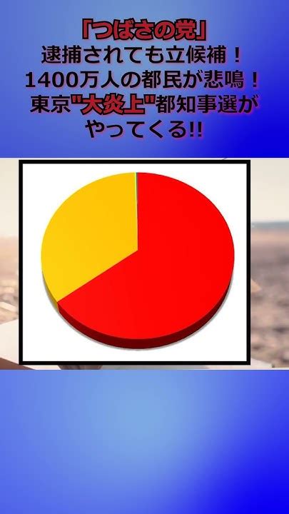 【バズニュース】「つばさの党」逮捕されても立候補！ 1400万人の都民が悲鳴！ 東京大炎上都知事選がやってくる Youtube