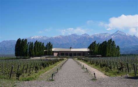 Mendoza FULL EXPERIENCE! Mountains, Wine Region and Adventure Sports in ...