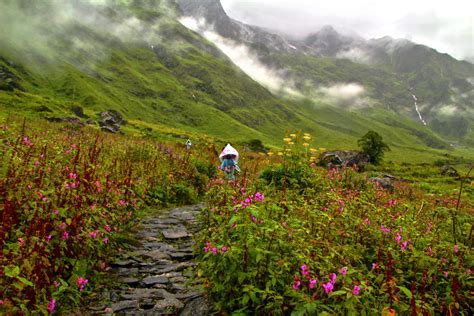 Trek To Valley Of Flowers And Hemkund Sahib Tripoto