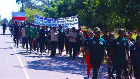 Siku Ya Nyuki Duniani Wananchi Watakiwa Kutunza Mazingira Ili Kumtunza