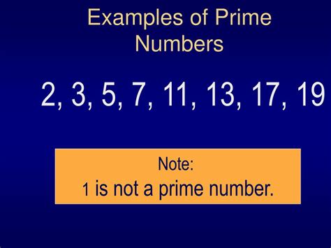 Prime Numbers Examples