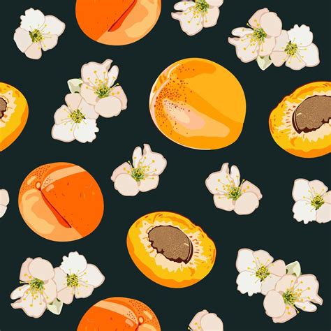 Vector Seamless Apricot Pattern 12978280 Vector Art At Vecteezy