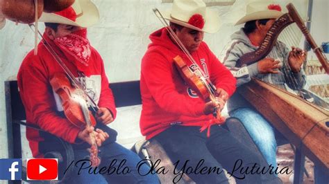 Son De Pascola Yoreme Mayo En Arpa Y Violin 2022 YouTube