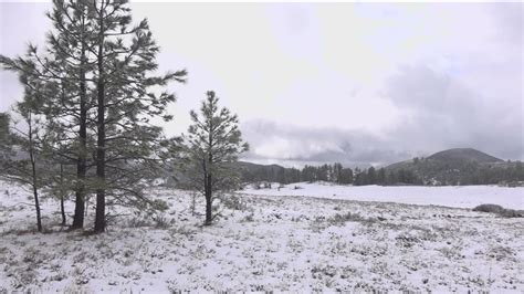 A winter wonderland in Mount Laguna | cbs8.com