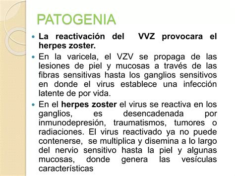 Herpes Zoster Ppt Descarga Gratuita