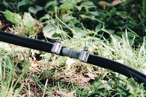 DIY Drip Irrigation Systems: How to Install Drip Lines in Your Garden ...