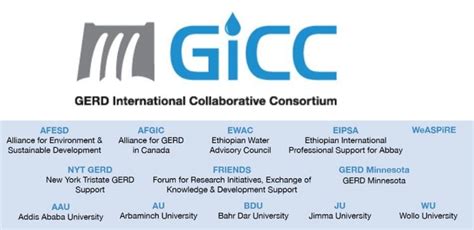 Gicc Rebukes Egypt Fms All Options Are Open” Comments On Gerd