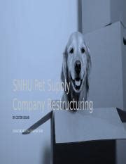 Effective Leadership Strategies SNHU Pet Supply Company Course Hero