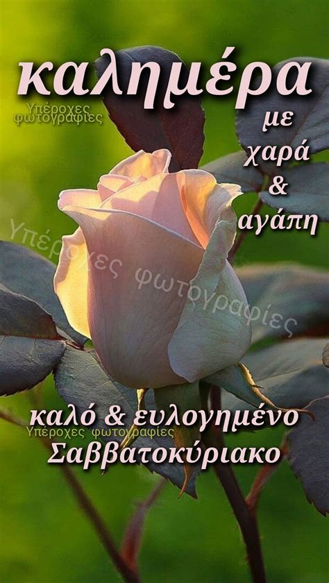 Pin By Goutte On Emoji Love Greek Quotes Movie