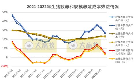 2022年12月及年度生猪行业数据汇总 大畜牧网