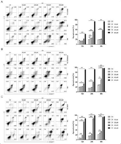 Caffeic Acid Markedly Induced Apoptosis Of Human Multiple Myeloma Cells