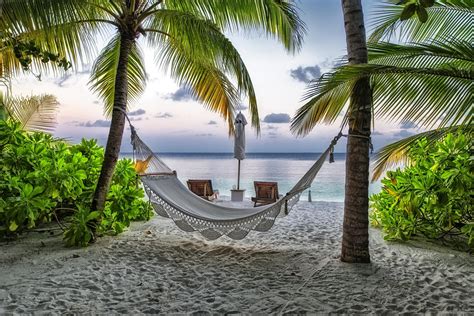 Tranquil Maldives Hd Wallpaper Of A Tropical Beach Hammock