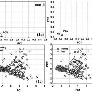 Plot Of Pca A Loadings In Qualitative Model B Loadings In