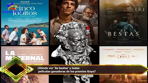 Descubre Los Mejores Cines Donde Ver As Bestas Recomendaciones