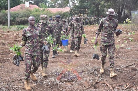 KENYA ARMY ESTABLISHMENTS GO GREEN – Ministry of Defence – Kenya