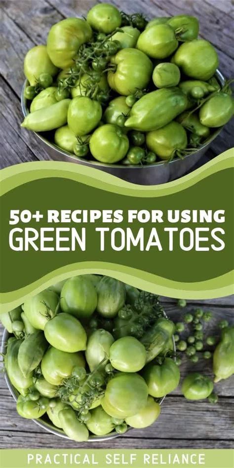 8 Green Tomato Recipes Ideas Green Tomato Recipes Tomato Recipes Green Tomatoes