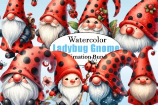 Ladybug Gnome Png Bundle Illustration Graphic By Citragraphics