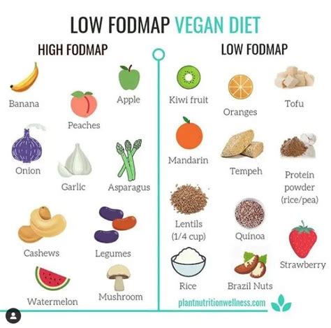 Low Fodmap Diet For Vegan Recipes And Symptoms Pnw