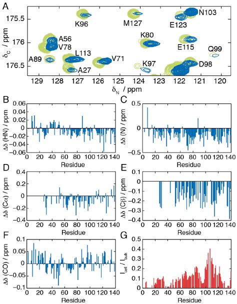 Analysis Of Backbone Chemical Shift Changes And Line Broadening A