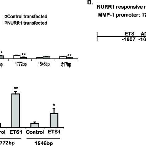 Nurr Targets An Ets Responsive Region Of The Mmp Promoter A Sw