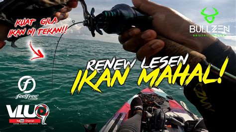 Renew LESEN IKAN MAHAL VLUQ461 Kayak Fishing Malaysia YouTube