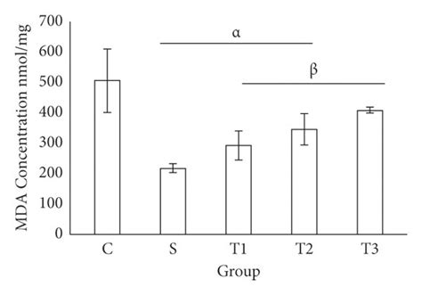 Determination Of Oxidative Stress Biomarker In The Liver Tissue Of