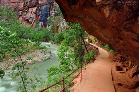 Riverside Walk Joe S Guide To Zion National Park