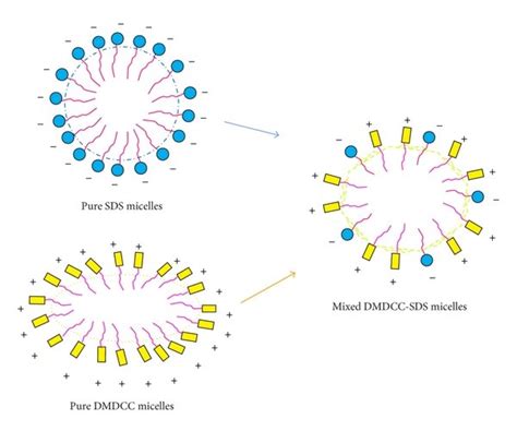 Schematic Representation Of The Mixed Dmdcc Sds Micelles Compared To