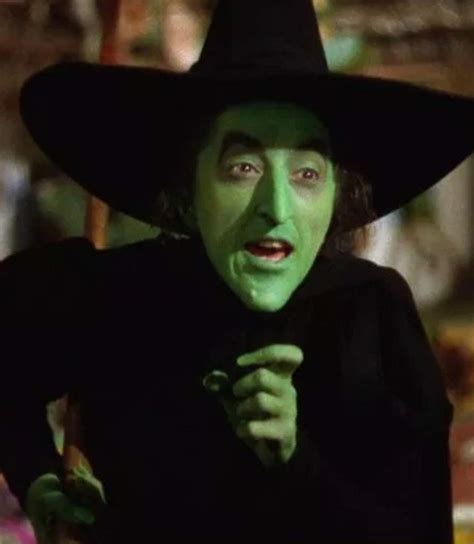 The Wizard Of Oz Wicked Witch