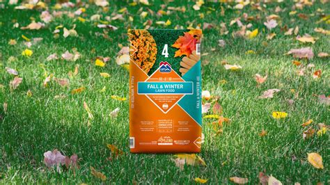 13 Amazing Fall Fertilizer For 2024 Storables