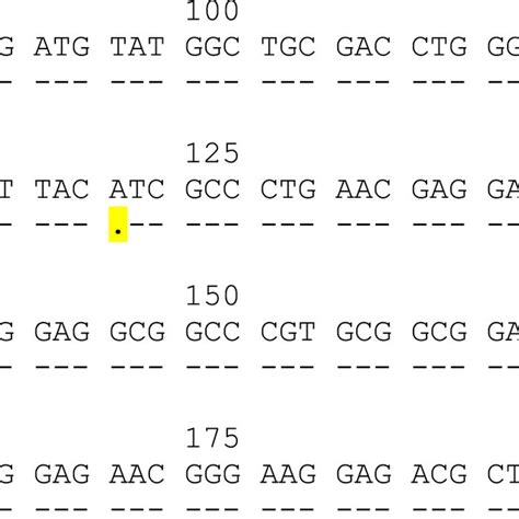 Alignment Of Exon 3 Of The Sequence Of HLAC 07 1044N With The Sequence