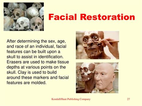 Ppt Chapter 12 Human Remains Powerpoint Presentation Free Download Id 720051