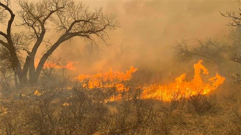 Why Did The Texas Panhandle Fires Grow So Fast Ktla