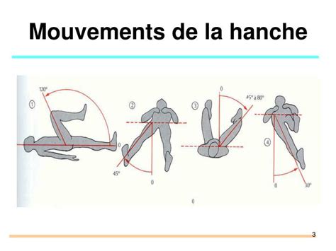 PPT Pathologie péri articulaire membre inférieur PowerPoint