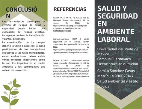 A7 Tríptico Seguridad En El Trabajo Blackboard Salud Ambiental Y Estilo De Vida Salud Y