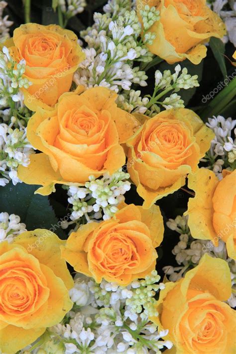 Yellow Rose Bouquet — Stock Photo © Portosabbia 9821172