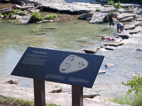 Dinosaur tracks in Glenrose Tx | Dinosaur valley state park, Glen rose ...