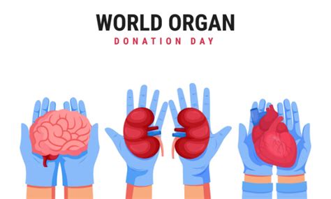 Saving Lives Through Organ Donation 5 Key Points Tata 1mg Capsules