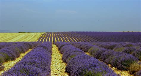 Colori Di Provenza Ruba Tutti I Colori Del Mondo E Dipingi Flickr