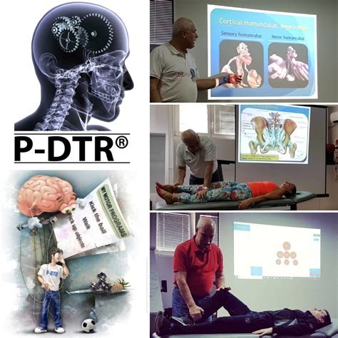 Proprioceptive Deep Tendon Reflex Therapy — Dr Dusica Dordevic