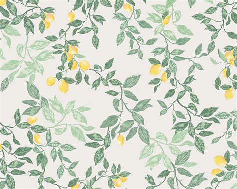 Recent Obituaries and Life Tributes at Castlewood Funeral Home 10