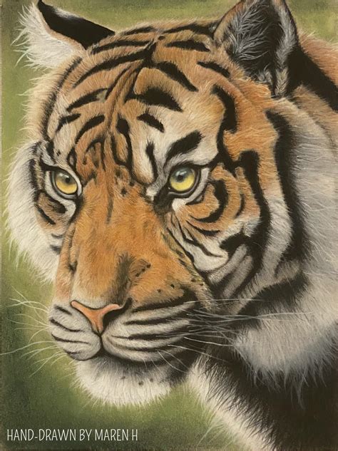 Hand-drawn tiger - Artist is my GF :) 🐯 : r/pics