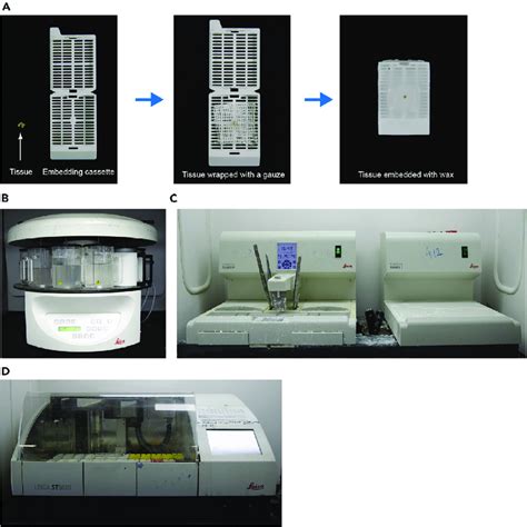 Instruments For Paraffin Section Preparation And Staining A Tissue