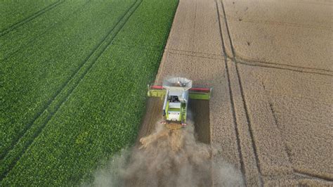 Juni Erzeugerpreise F R Landwirtschaftliche Produkte Weiter Zur Ckgegangen