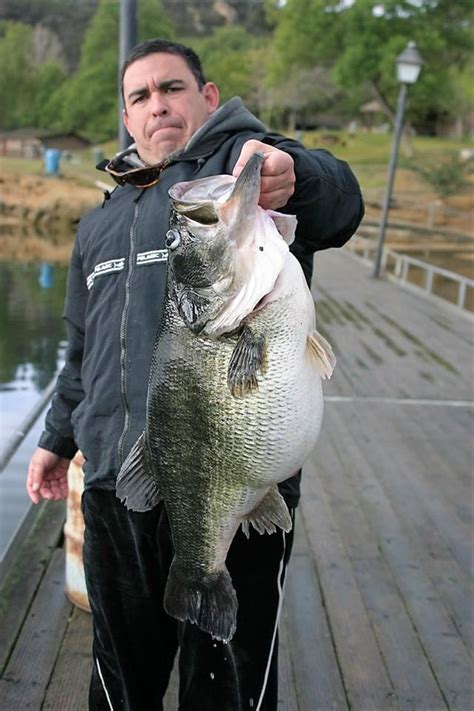 The Biggest Bass Ever Caught: What is the World Record? - Premier Angler