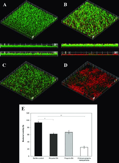 Imaging Of Live Dead Biofilm Bacteria Using Confocal Laser Scanning