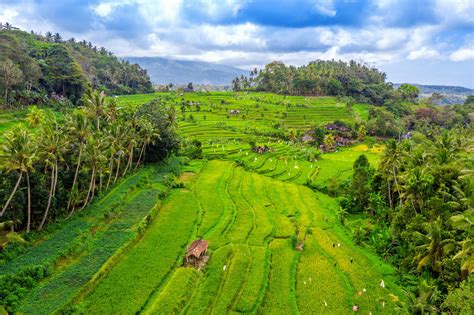 Qu Ver En Munduk Y Alrededores Planazos Imperdibles Con Mapa