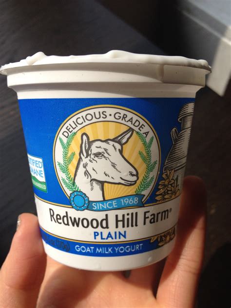 I Tried It: Goat Milk Yogurt | Jessica Cording Nutrition