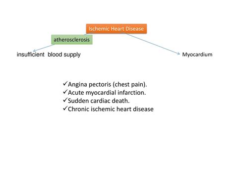 Pathology Of Cardiovascular System 6 Lectures Ppt Download